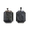 Natural Labradorite Pendants, Faceted Rectangle Charms, with Rack Plating Brass Findings, Platinum, 34x23x8mm, Hole: 4.5x6mm
