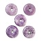Natural Lepidolite Pendants, Donut/Pi Disc Charms, 30x6mm, Hole: 6mm