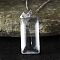 Clear Glass with Dandelion Inside Pendant Necklaces, Rectangle Wish Zinc Alloy Jewelry for Women, Platinum, Rectangle, 17.72~18.70 inch(45~47.5cm)