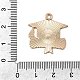 Подвески из сплава с эмалью выпускного сезона ENAM-I065-02KCG-02-3