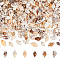 Natural Spiral Shell Beads, No Hole, Lemon Chiffon, 7~12x3~7x3~7mm, about 1400~1500pcs/box