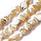 Natural Trochid Shell/Trochus Shell Beads Strands, Nuggets Chips, 3.5~13x6~12x3~8mm, Hole: 0.9mm, about 68~73pcs/strand, 15.35 inch~15.94 inch(39~40.5cm)