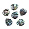 Natural Paua Shell Teardrop Cabochons, with Acrylic Back, 20x17x2mm