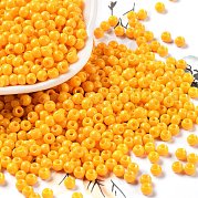 Выпечка краска стеклянные бусины SEED-H002-I-A511