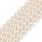 Electroplated Shell Pearl Beads Strands, Rice, Polished, White, 4.5x3mm, Hole: 0.5mm, about 93pcs/strand, 16.14''(41cm)