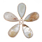 Natural Amazonite Pendants, with Brass Findings, teardrop, Golden, 33x16~16.5x6mm, Hole: 2mm