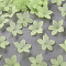 Frosted Acrylic Bead Caps, 20x21.5x4.5mm, Hole: 1.6mm, about 1630pcs/500g