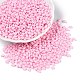 Выпечка краска стеклянные бусины SEED-T006-03M-3