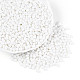 Выпечка краска стеклянные бусины SEED-N007-29L-2