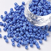 Бисер из стекла  SEED-A010-4mm-43B