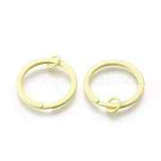 Железные брелоки с краской IFIN-L038-07-FF