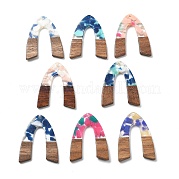 Подвески из смолы и ореха FIND-R051-11