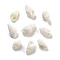 Natural Spiral Shell Beads, Center Drilled, Shell-Shaped, WhiteSmoke, 13~17x8~9.5x6.5~9.5mm, about 3571pcs/1000g