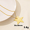 304 Stainless Steel Star Pendant Necklace for Women, Cable Chain Necklaces