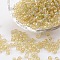 (Repacking Service Available) Round Glass Seed Beads, Transparent Colours Rainbow, Round, Pale Goldenrod, 6/0, 4mm, about 12g/bag