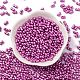 Выпечка краска стеклянные бусины SEED-L011-12A-12-2