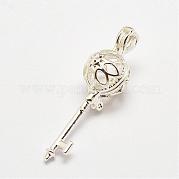 Латунные диффузор Locket подвески KK-P100-20S-RS