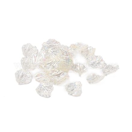 Прозрачные акриловые подвески DIY-B073-07B-1