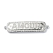 Rack Plating Brass Micro Pave Clear Cubic Zirconia Rectangle Links, Word AMOUR Connector Charms, Long-Lasting Plated, Lead Free & Cadmium Free, Platinum, 44.5x11.5x3mm, Hole: 1.4mm