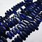 Natural Gemstone Pendants Lapis Lazuli Graduated Beads Strands, Dark Blue, 16~42x10~18x5~8mm, Hole: 1mm, about 15.7 inch