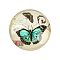 Butterfly Printed Glass Cabochons, Half Round/Dome, Lemon Chiffon, 12x4mm