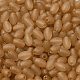 Стеклянные бусины прозрачных цветов SEED-F006-03A-10-3