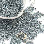 Внутри цвета стеклянные бусины SEED-A032-03F