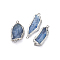 Natural Kyanite/Cyanite/Disthene Links connectors, with Brass Loop, Nuggets, Edge Silver Color Plated, 34.5~46.5x14.5~19.5x3.5~6.5mm, Hole: 2.2~2.5mm