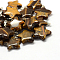 Star Natural Tiger Eye Pendants, with Platinum Tone Brass Findings, 22~23x20~24x5~7mm, Hole: 2x7mm