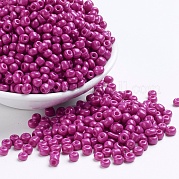 Выпечка краска стеклянные бусины SEED-S003-K21