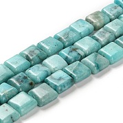 Бусы из натурального доломита G-F765-C04-01