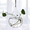 Hanging Glass Plants Planters, Transparent Hydroponic Glass Vase for Indoor Garden Home Decoration, Teardrop, 120x90mm