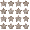16Pcs 1-Hole Alloy Rhinestone Shank Buttons, Star, Platinum, 14x6.5mm, Hole: 2.4mm