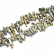 Natural Dalmatian Jasper Beads Strands, Chip, 10~30x5~10x3~9mm, Hole: 1mm, about 65~85pcs/strand, 14.9 inch