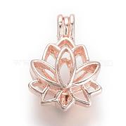 Литые диффузор Locket подвески PALLOY-S062-40RG
