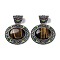 Natural Tiger Eye Pendants, with Antique Silver Tone Alloy Findings and Enamel, Oval, 54x59.5x15mm, Hole: 13x11mm