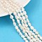 Natural Cultured Freshwater Pearl Beads Strands, Two Sides Polished, Grade 2A, WhiteSmoke, 5~6mm, Hole: 0.6mm, about 45~46pcs/strand, 13.23~13.50''(33.6~34.3cm)
