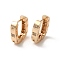 Brass Micro Pave Cubic Zirconia Hoop Earrings for Women, Oval, Light Gold, 16x14.5x4mm