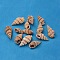 Natural Spiral Shell Beads, Dyed, Peru, 14~40x10~20x3~15mm, Hole: 1mm, about 210~250pcs/500g