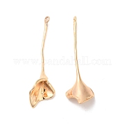 Латунные подвески KK-G468-02G