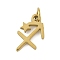 316L Surgical Stainless Steel Pendants, Constellation Charms, with Jump Ring, Golden, Ferris Wheel, 11.5x8x1.5mm, Hole: 2.5mm