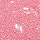 Выпечка краска стеклянные бусины SEED-S042-05B-86-3
