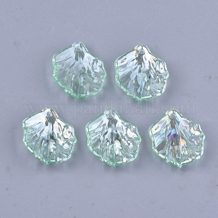 Прозрачные акриловые подвески TACR-T007-08C-1