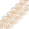 Shell Pearl Beads Strands, Polished, Round, Seashell Color, 12mm, Hole: 1mm, about 32pcs/strand, 15.94''(40.5cm)