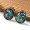 304 Stainless Steel Stud Earrings, with Shell, Ion Plating(IP), Oval, Real 18K Gold Plated, 19x16mm