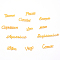Alloy Cabochons, Twelve Constellations, Golden, 8~10x15~47x1.5mm, 12pcs/set