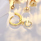 Brass Micro Pave Clear Cubic Zirconia Hoop Earrings, Golden, Letter G, 24x7mm