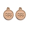 Alloy Enamel Pendants, Flat Round with Constellation/Zodiac Sign, Aquarius, 22x18x2mm, Hole: 1.5mm