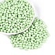 Выпечка краска стеклянные бусины SEED-T007-15J-3