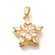 Подвески из латуни с микропаве из циркония KK-R212-04G-02-1